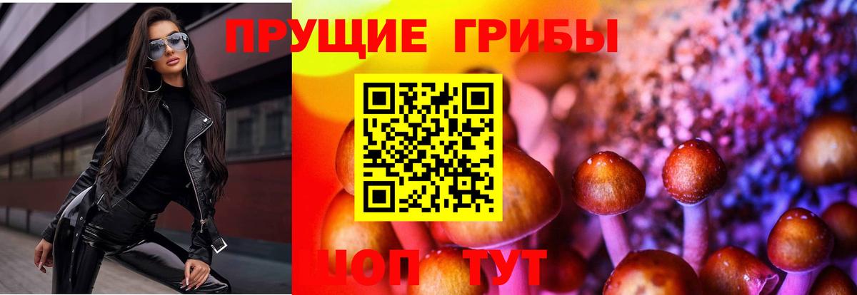 Галлюциногенные грибы прущие грибы  Галлюциногенные грибы GOLDEN TEACHER  Вход с VPN  Южноуральск 